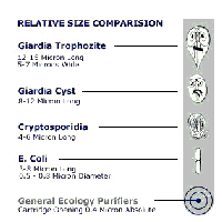  Reviews and Testimonials